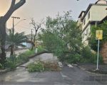 Prefeitura trabalha para amenizar danos da chuva em Divinópolis; bairros seguem sem energia