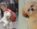 Presente: criança reencontra cãozinho desaparecido após pedi-lo de aniversário, em Divinópolis