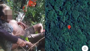 Idoso desaparecido em Pitangui &eacute; encontrado ap&oacute;s 4 dias, em mata de dif&iacute;cil acesso