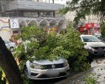 Tempestade provoca queda de árvores e destelhamentos em vários bairros de Divinópolis