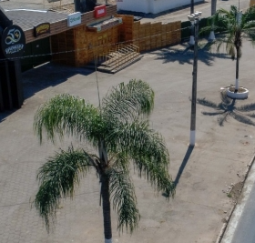 Divinaexpo 2025: Estacionamento, embarque e circula&ccedil;&atilde;o ter&atilde;o regras especiais