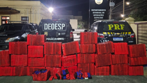 Formiga: Pol&iacute;cia apreende quase 900 kg de maconha na MG-050