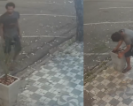 VÍDEO: Câmera flagra homem tentando furtar planta no Centro de Divinópolis