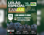 Divinaexpô 2025: Leilão Lamar e Convidados acontece na próxima sexta-feira (16)