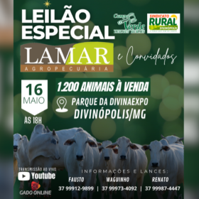 Divinaexpô 2025: Leilão Lamar e Convidados acontece na próxima sexta-feira (16)