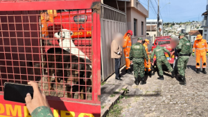 Formiga: Pol&iacute;cia Ambiental e Bombeiros resgatam c&atilde;es abandonados, ap&oacute;s den&uacute;ncia de maus-tratos