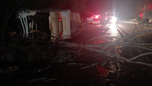 Arcos: Carreta tomba na BR-354 e derruba &aacute;rvore; Bombeiros atuam para liberar via