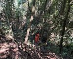Homem é resgatado após passar a noite perdido no Parque das Mangabeiras, em BH