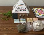 Homem é preso com mudas de maconha em São Gonçalo do Pará
