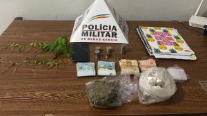 Homem &eacute; preso com mudas de maconha em S&atilde;o Gon&ccedil;alo do Par&aacute;