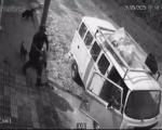 VÍDEO: Cachorro é levado por casal em Kombi no bairro Belvedere, em Divinópolis