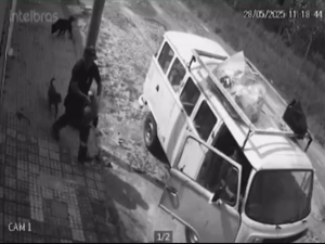 VÍDEO: Cachorro é levado por casal em Kombi no bairro Belvedere, em Divinópolis