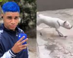 Influencer que jogou galinhas vivas contra cães na Grande BH é solto após fiança de R$ 3 mil