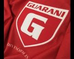 Final de jogo Guarani 2×0 Nacional de Muriaé pelo Campeonato Mineiro Módulo II