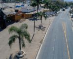 Settrans divulga esquema especial de trânsito para a Divinaexpo