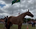Parque de Exposições em Divinópolis será sede da Expo Regional de Cavalo Campolina