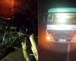 Motociclista bate em galho de árvore e caminhão atinge moto em Pará de Minas