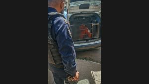 Nova Serrana: Discuss&atilde;o ap&oacute;s almo&ccedil;o em Centro para Pessoas em Situa&ccedil;&atilde;o de Rua termina com homem preso