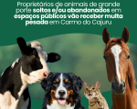 Carmo do Cajuru: Proprietários de animais de grande porte soltos ou abandonados em espaços públicos vão receber ‘multa pesada’