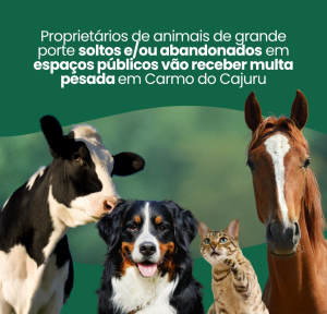 Carmo do Cajuru: Propriet&aacute;rios de animais de grande porte soltos ou abandonados em espa&ccedil;os p&uacute;blicos v&atilde;o receber &lsquo;multa pesada&rsquo;