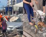 Vídeo Cães são deixados dentro de carro em Divinópolis; animais foram resgatados pelos Bombeiros