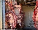 Abate clandestino e furto: Operação conjunta apreende carne bovina e recupera veículo roubado