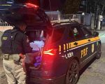 Após perseguição, homem é preso com 100 kg de droga em rodovia na Grande BH