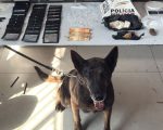 Homem é preso com grande quantidade de drogas no Paraíso, em Divinópolis