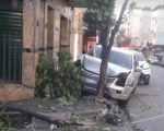Motorista bate carro em árvore e foge na av. Paraná, em Divinópolis