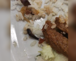 VÍDEO: Lesma é encontrada em prato servido no restaurante do CEFET em Divinópolis