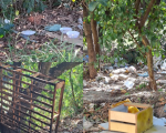 Moradores denunciam acúmulo de lixo no calçadão revitalizado do Porto Velho em Divinópolis