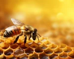 Abelha pousada sobre colmeia hexagonal com mel em fundo dourado, simbolizando a conservação natural do alimento