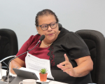 Projeto que autoriza naming rights em espaços públicos é aprovado em Divinópolis