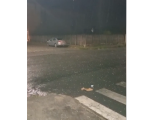Chuva de granizo atinge Centro-Oeste de Minas e surpreende moradores de Araújos