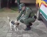 Polícia resgata cão vítima de zoofilia em Nova Lima