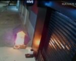 Vídeo: Homem põe fogo em casinha de cachorro de rua no Barreiro, em BH