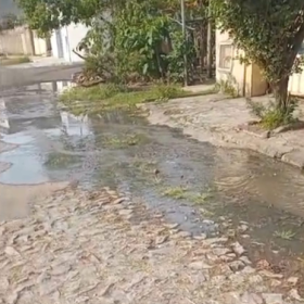 Divinópolis: Esgoto a céu aberto no Sagrada Família causa mau cheiro e moradores cobram solução