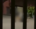 Polícia investiga caso de zoofilia em Itapecerica; homem foi flagrado abusando de cão no meio da rua