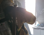 Formiga: Falha elétrica em máquina de lavar provoca incêndio em casa