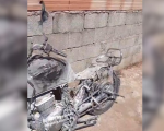Motociclista que bateu em vaca não tem CNH e disse que animal já havia sido atingido por caminhões