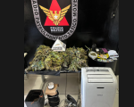 PM desmantela laboratório de maconha em zona rural de Pará de Minas