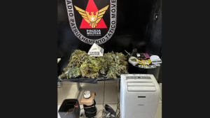 PM desmantela laborat&oacute;rio de maconha em zona rural de Par&aacute; de Minas