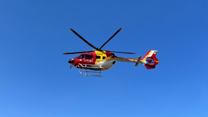 Beb&ecirc; picado por escorpi&atilde;o &eacute; transferido de helic&oacute;ptero para BH