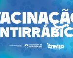Veja onde vacinar seu pet