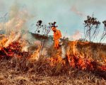 Defesa Civil de Minas alerta para riscos de incêndios até domingo (24/8)