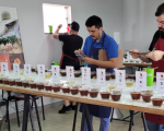 Inscrições para o 20º Concurso de Qualidade do Café da região de Manhuaçu estão abertas