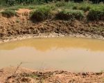 Minas Gerais consolida protagonismo nacional com novo Programa Produtor de Água