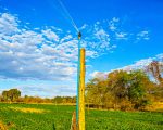 Nova Lei estimula produtores rurais de Minas Gerais a irrigar pela primeira vez
