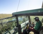 Produtor rural terá acesso a mentoria gratuita ao contratar crédito do BDMG para investir em agricultura sustentável