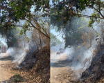 Motoristas devem redobrar atenção com incêndios às margens de rodovias